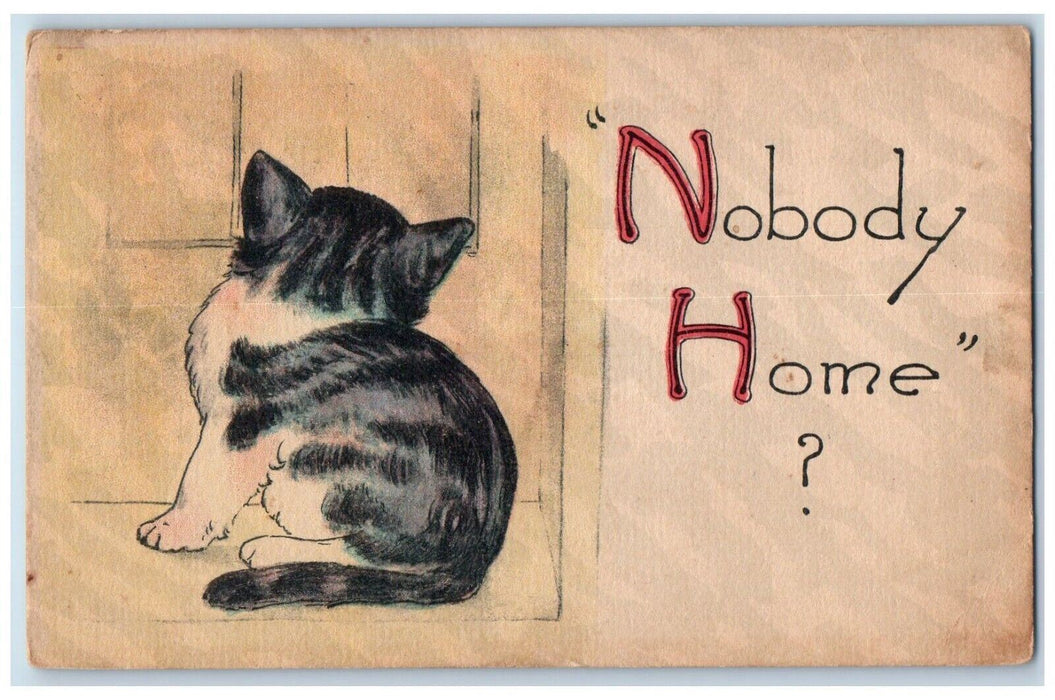 1915 Cat Knocking Door Nobody Home West Chester Connecticut CT Antique Postcard