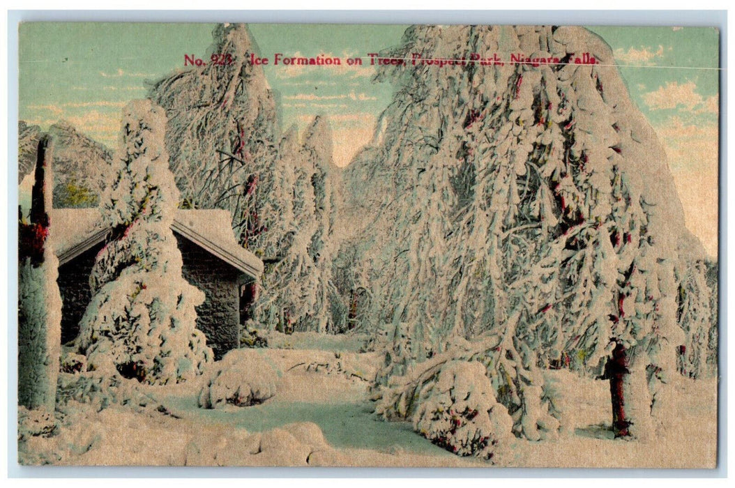 Winter Ice Formation On Trees Prospect Park Niagara Falls New York NY Postcard