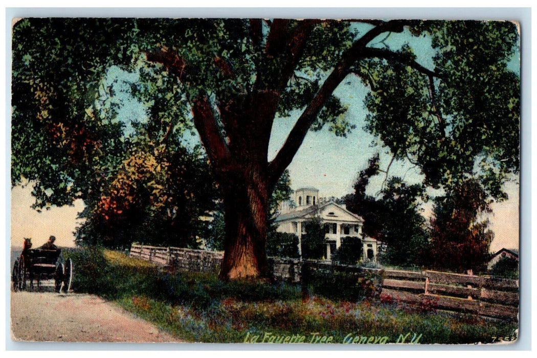 La Fayette Big Tree Dirt Road Horse buggy Scene Geneva New York NY Postcard