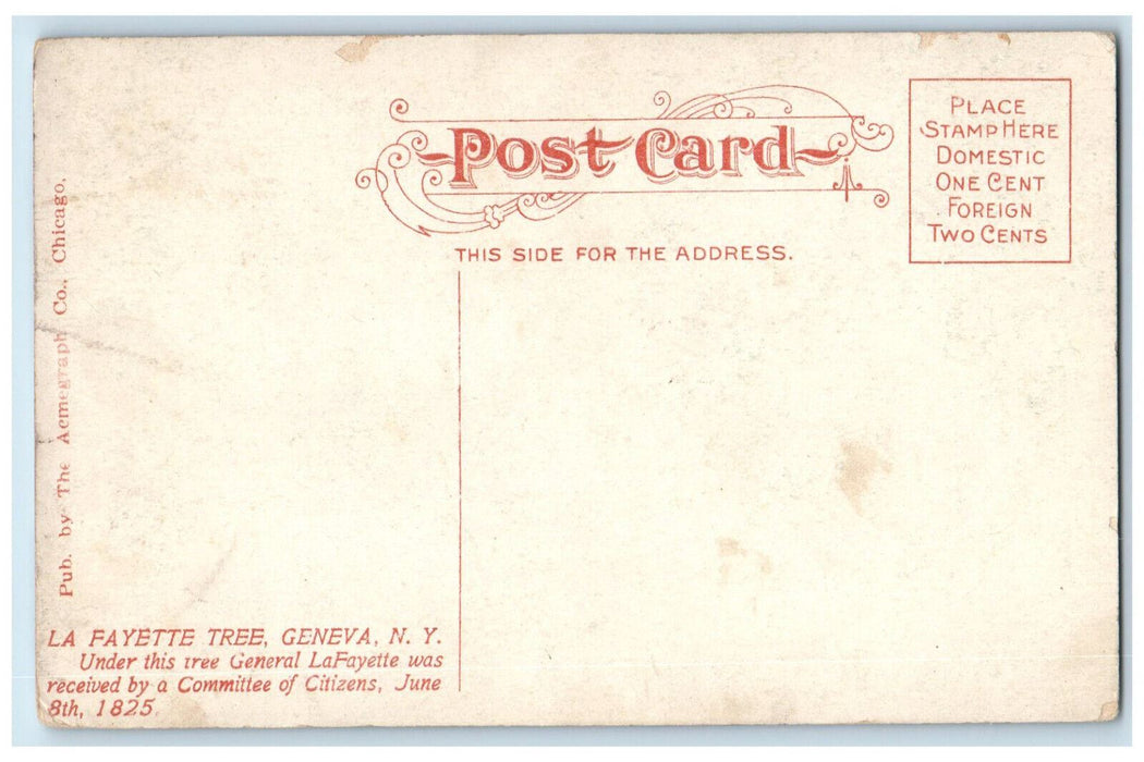 La Fayette Big Tree Dirt Road Horse buggy Scene Geneva New York NY Postcard