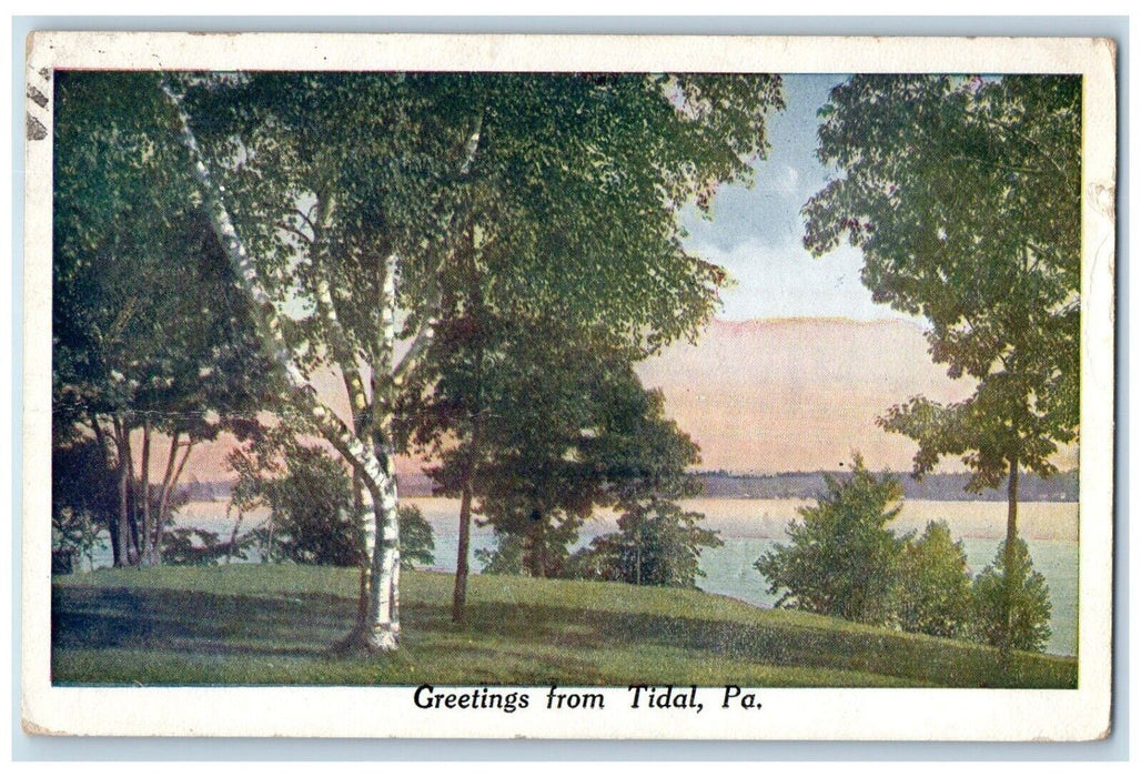 1933 Greetings From Tidal Mountain River Lake Field Trees Pennsylvania Postcard
