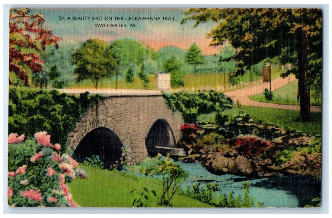 c1940 A Beauty Spot Lackawanna Trail River Lake Swiftwater Pennsylvania Postcard