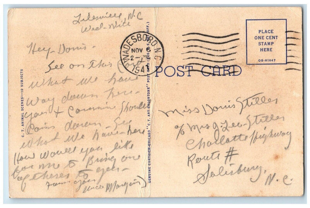 1941 Cautioning Family Bear Forest Greetings Lilesville North Carolina Postcard