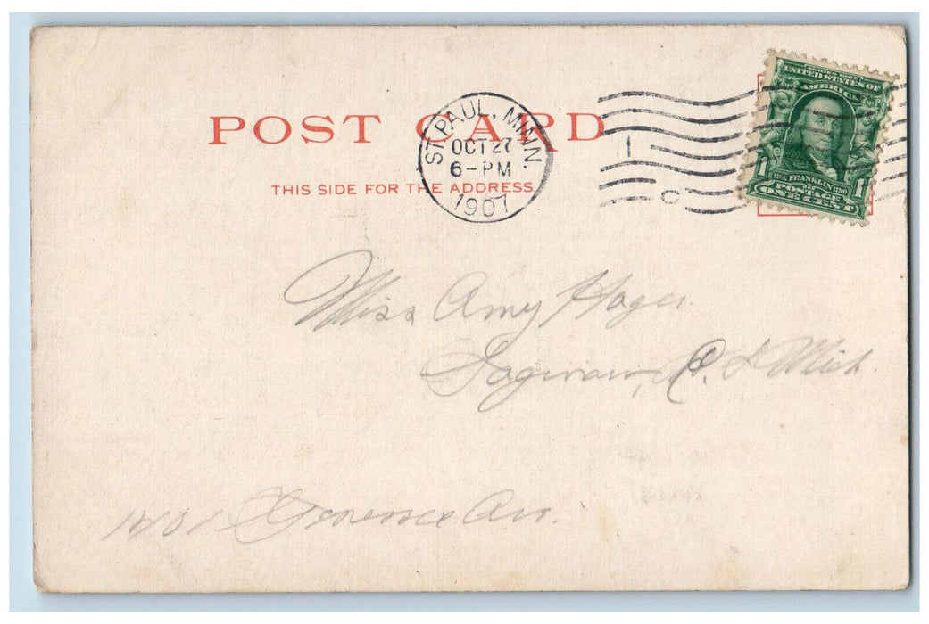 1907 Summit Avenue House Tree-lined Street Scene St. Paul Minnesota MN Postcard