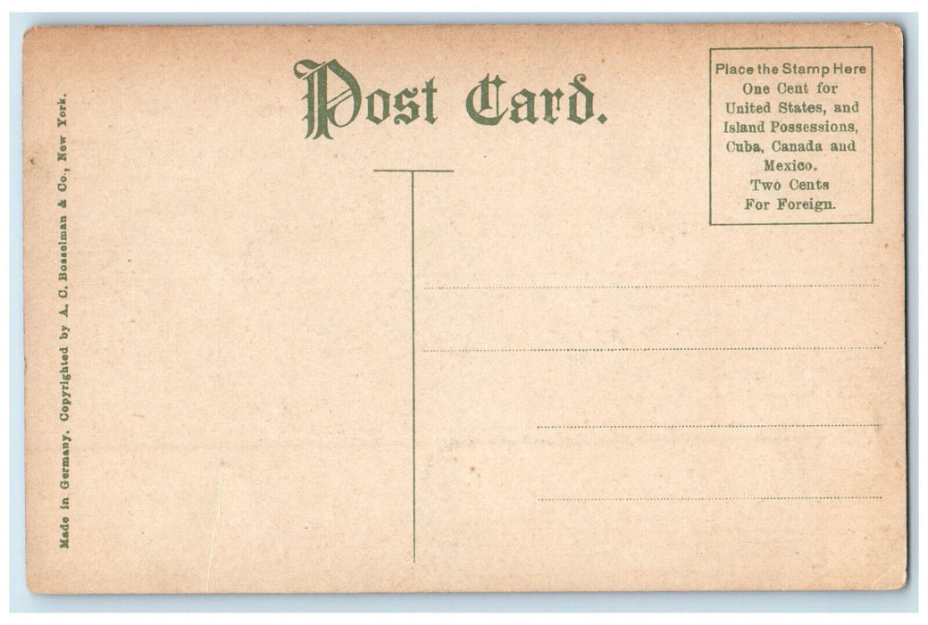 Pocahontas Interceding For John Smith Jamestown New York NY Exposition Postcard