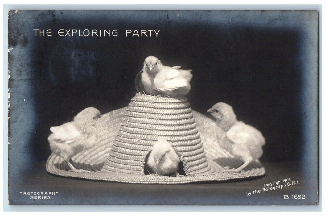 1907 Easter Chicks On Top Of Farm Hat Annville PA Rotograph RPPC Photo Postcard