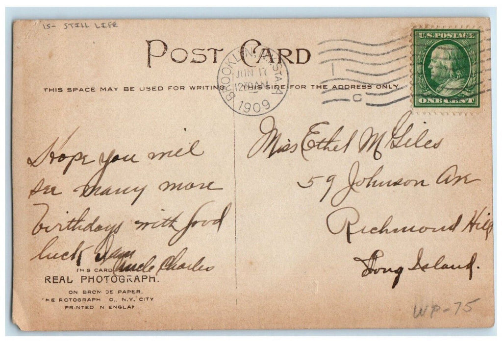 1909 Happy Birthday White Roses Flowers Still Life Rotograph RPPC Photo Postcard