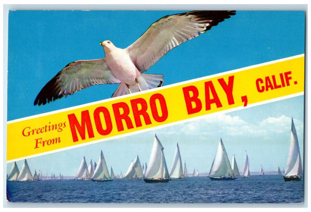 c1950's Greetings from Morro Bay CA Bird Boat Multiview Banner Postcard
