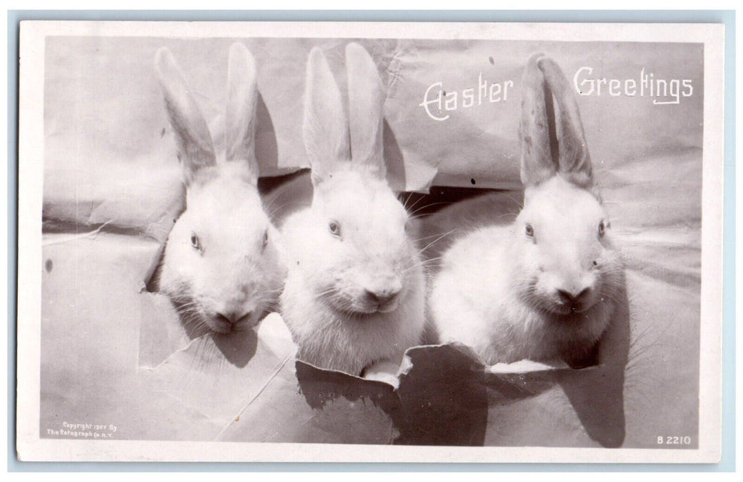 c1910's Easter Greetings Bunny Rabbit Rotograph Antique RPPC Photo Postcard