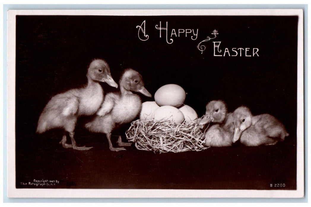 c1910's Easter Greetings Ducklings Eggs Nest Rotograph RPPC Photo Postcard
