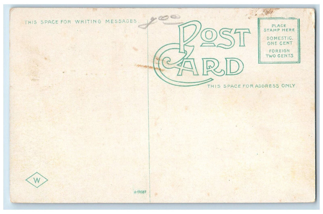 Panoramic View Nebraska State Penitentiary Tree-lined Lincoln NE Postcard