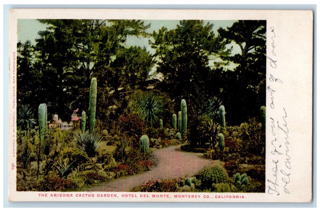 c1905 The Arizona Cactus Garden Hotel Del Monte Monterey CA Postcard