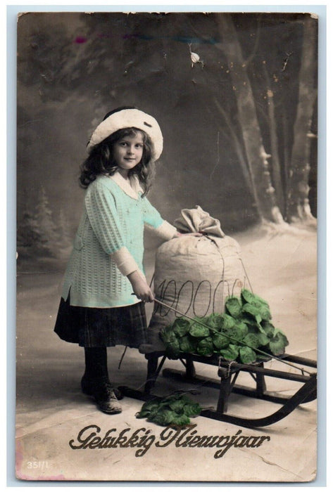 c1910's Happy New Year Woman Sleigh Sack Of Coins Clover RPPC Photo Postcard