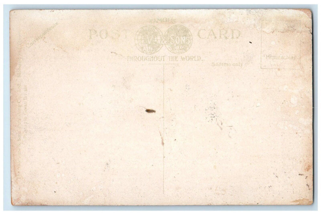 c1910's A Stanley Park Giant Vancouver British Columbia Canada Antique Postcard