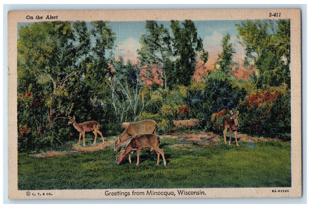 1947 Greetings From Minocqua Wisconsin WI, Deer On The Alert Vintage Postcard