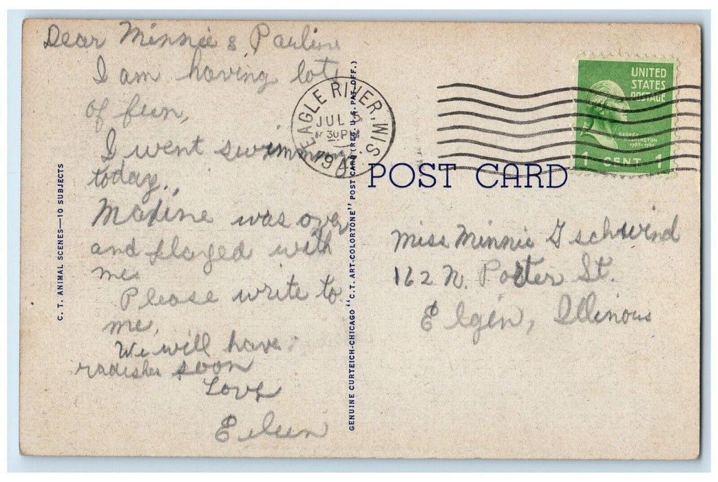 1947 Greetings From Minocqua Wisconsin WI, Deer On The Alert Vintage Postcard