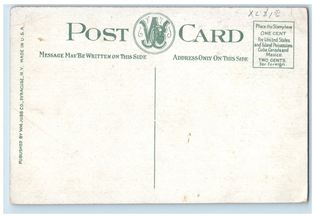 c1910's High School Building Street View Norwich New York NY Antique Postcard