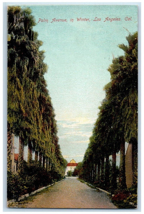 1909 Palm Avenue Winter Pine Trees Road Exterior Los Angeles California Postcard