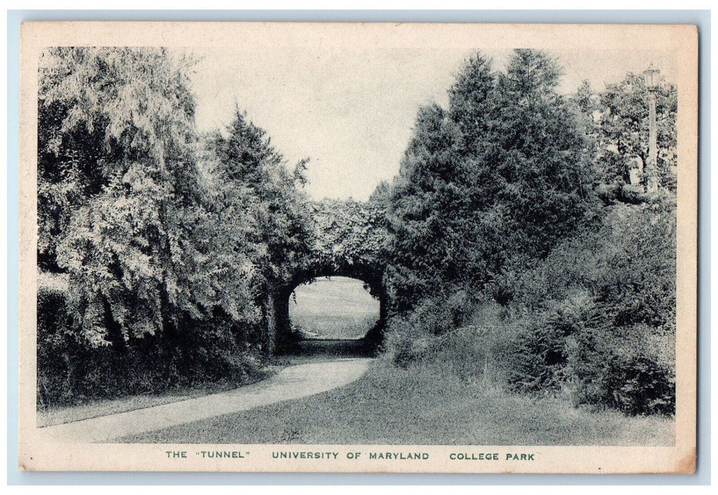 c1940's The Tunnel University of Maryland College Park MD Vintage Postcard