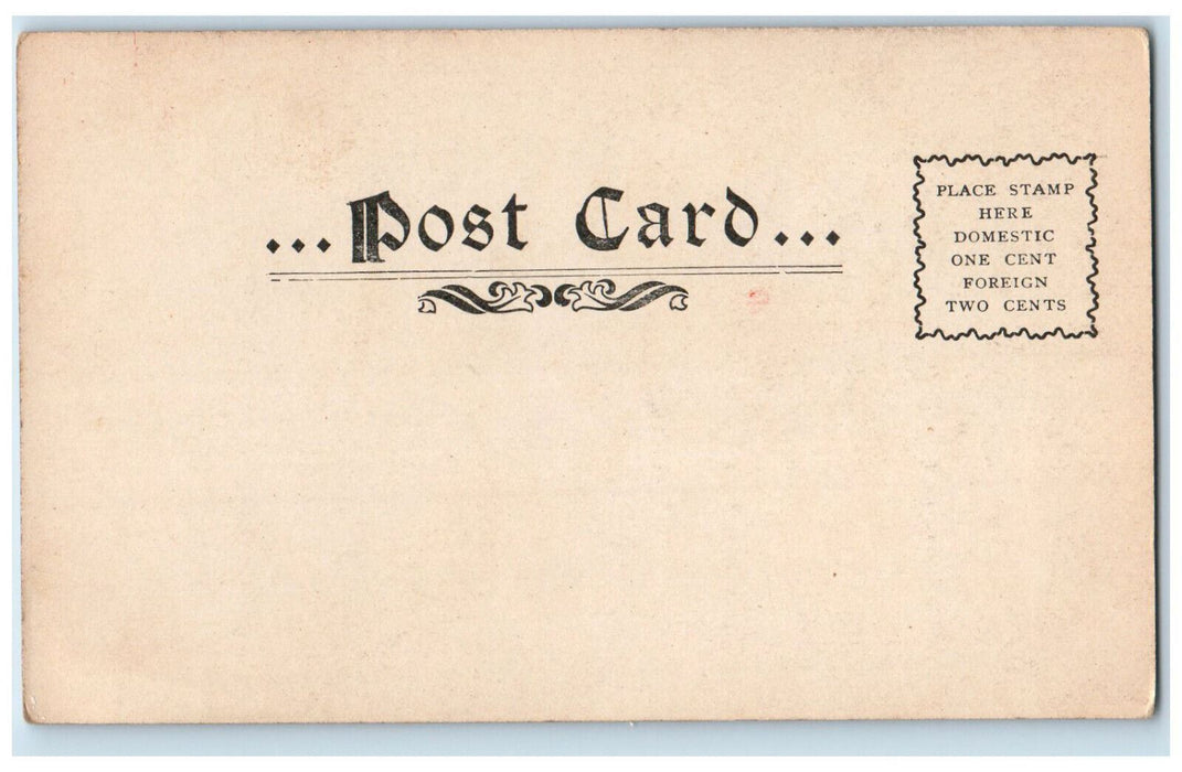 c1905 Hatfield House Smith College Northampton Massachusetts MA Postcard