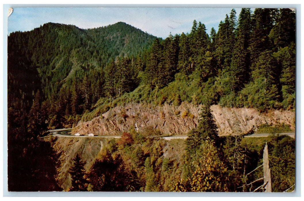 1968 US Highway 441 Smoky Mountains National Park Pigeon Forge TN Postcard