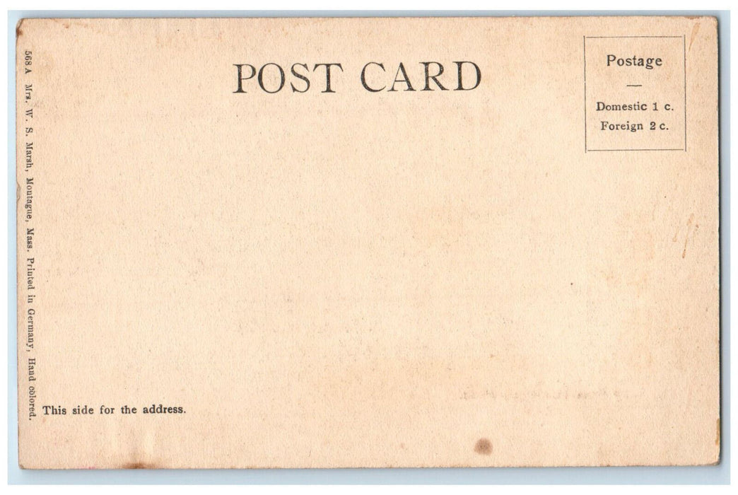 c1905 Mt. Toby from Montague Massachusetts MA Antique Unposted Postcard