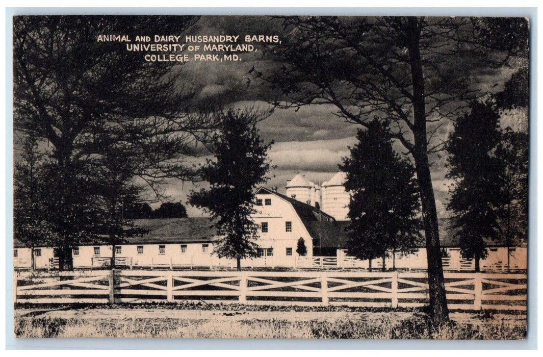 1947 Animal Dairy Husbandry Barns University of MD College Park MD Postcard