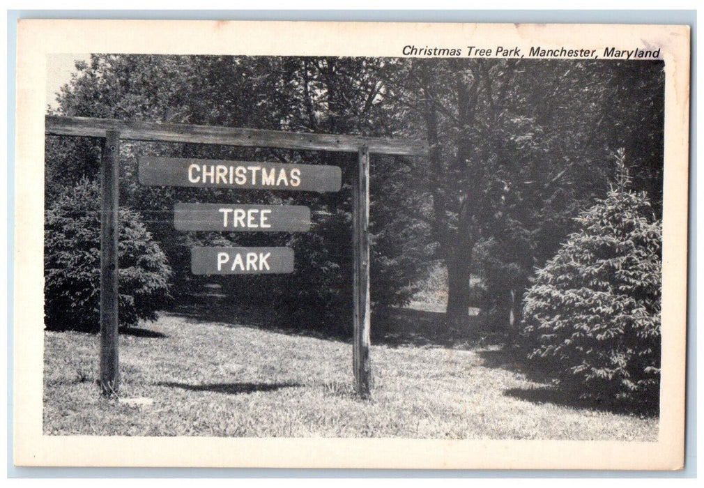 c1950's Christmas Tree Park Manchester Maryland MD Vintage Unposted Postcard