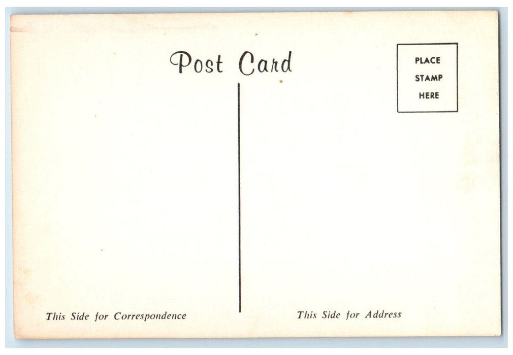 c1950's Christmas Tree Park Manchester Maryland MD Vintage Unposted Postcard
