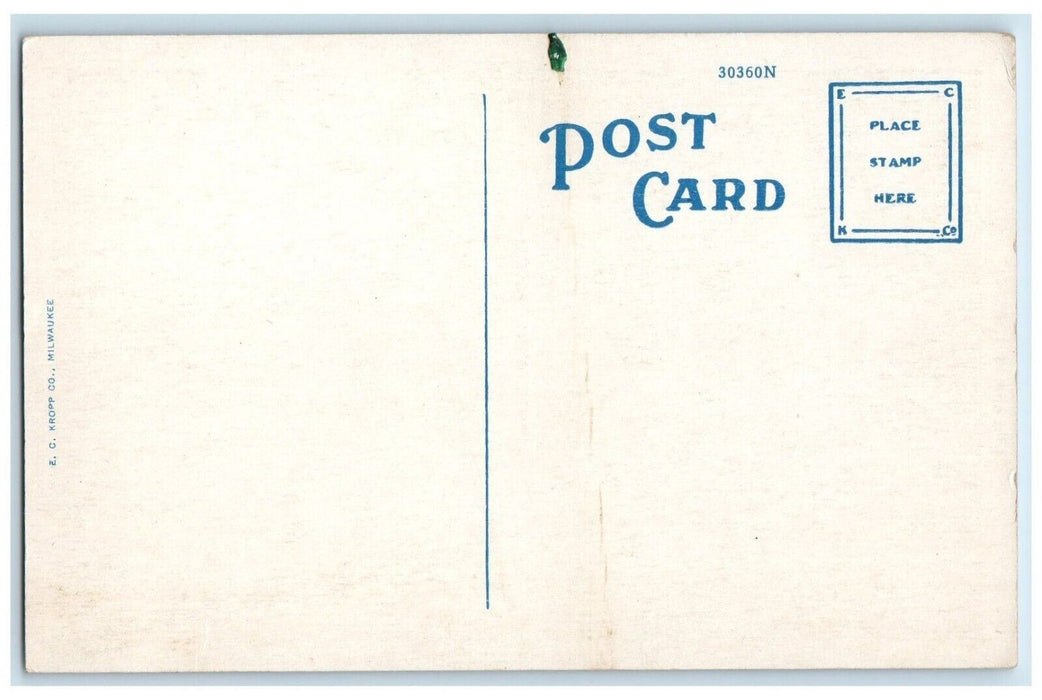 c1910 Beautiful Rock River Scenery Spring Lowell Park Dixon Illinois IL Postcard