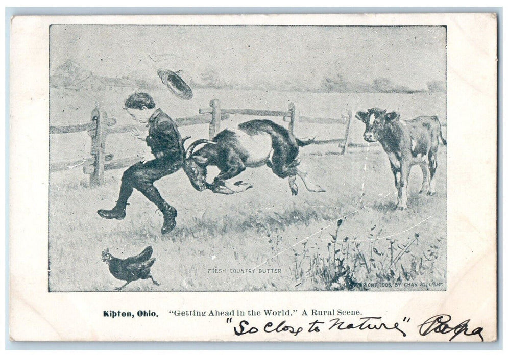 c1910's Getting A Head In The World, A Rural Scene Kipton Ohio OH Postcard