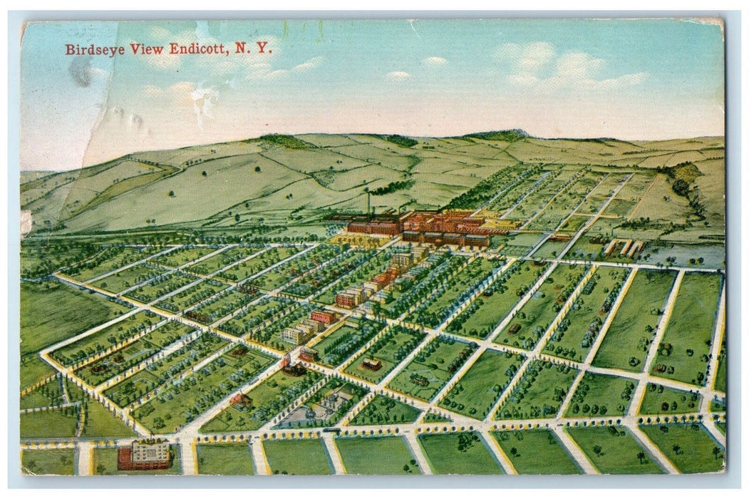 1917 Birds Eye View Rail Train Buildings Hills Endicott New York NY Postcard