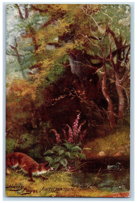 c1910 Wolf Duck Anticipation Woodland Glades Oilette Tuck Art Postcard