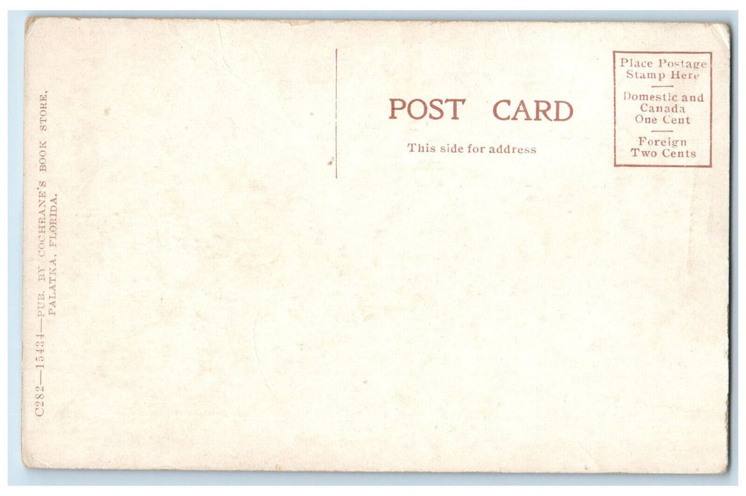 c1910 The Austin Building Daytona Florida FL Antique Unposted Postcard
