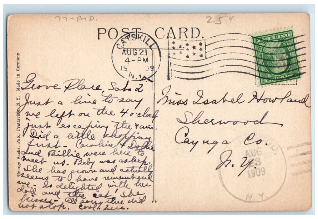 1909 Johns Hollow Ravins Prattsville NY, Catskill Mountains Antique Postcard