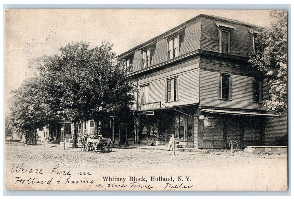1907 Whitney Block Horse Carriage Dirt Road Store Holland New York NY Postcard