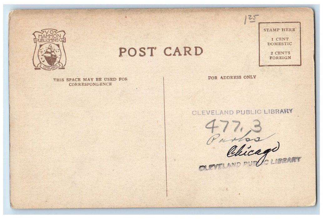 c1950's Lincoln Park Heard Buffalo Wildlife View Chicago Illinois IL Postcard