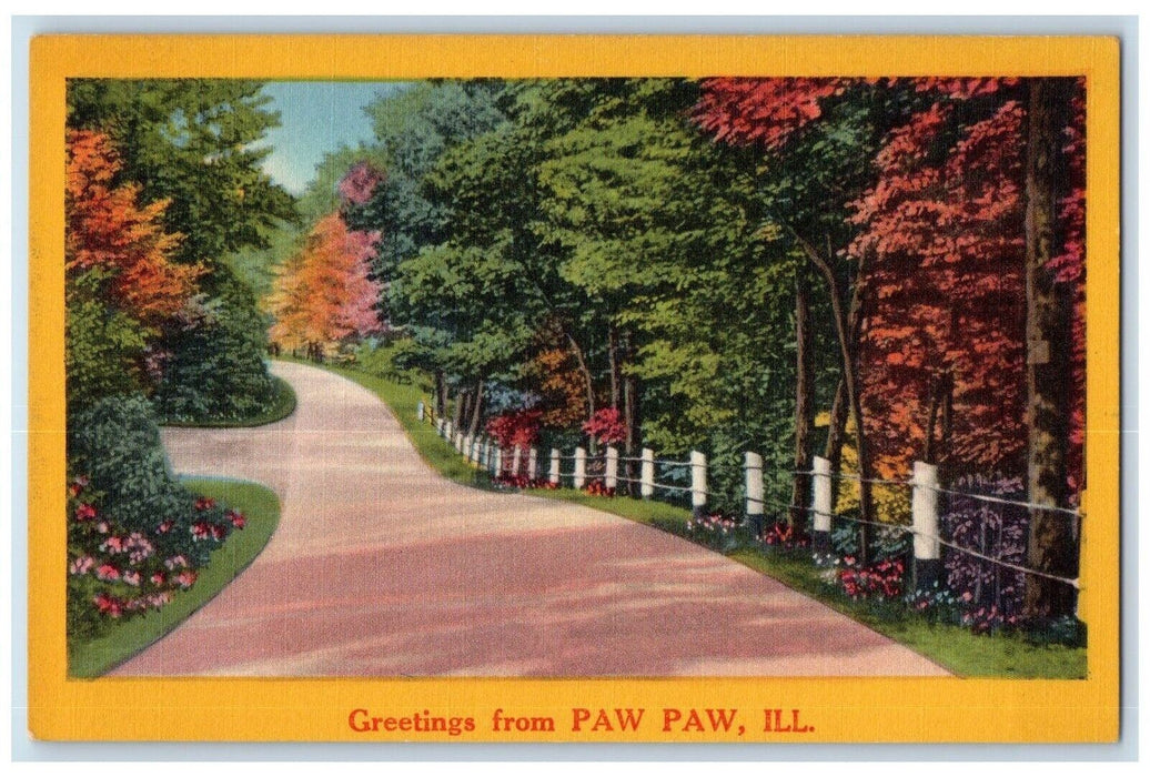 c1940 Greetings From Paw Paw Fence Road Trees Illinois Vintage Antique Postcard