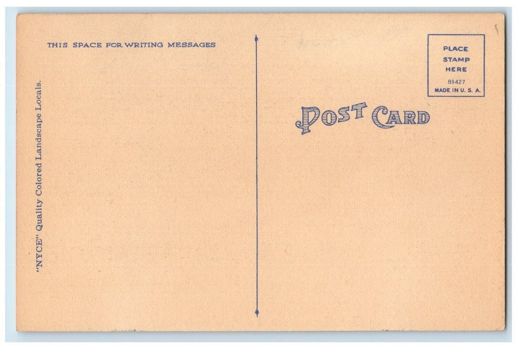 c1940 Greetings From Paw Paw Fence Road Trees Illinois Vintage Antique Postcard