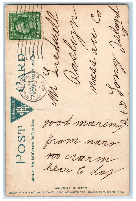 1914 West Palm Beach FL, Excursion Boat Constitution At Palm Beach Dock Postcard