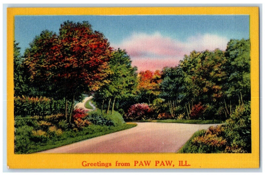 c1940 Greetings From Paw Paw Street Road Trees Illinois Vintage Antique Postcard