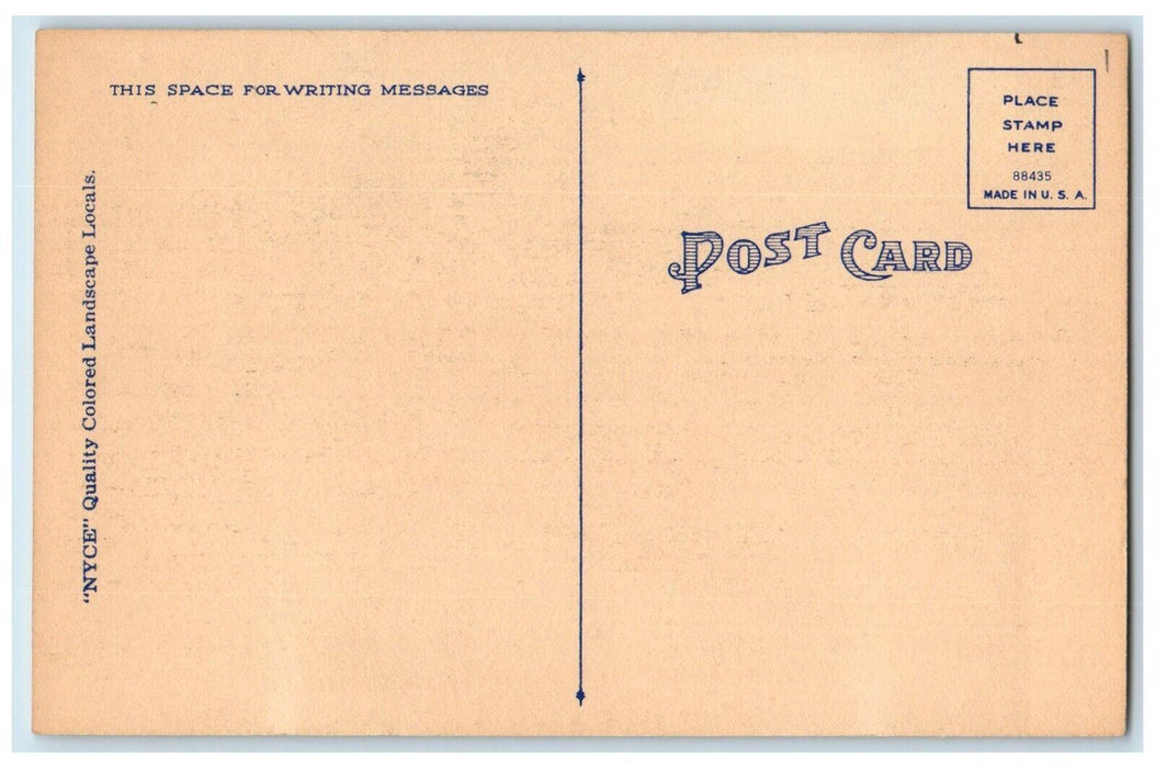 c1940 Greetings From Paw Paw Street Road Trees Illinois Vintage Antique Postcard