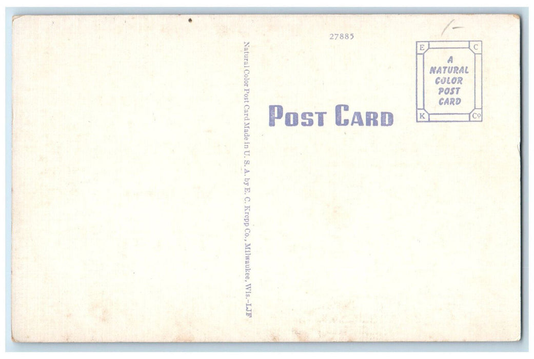 c1940's Catholic Mary Shrine Chippewa Falls Wisconsin WI Antique Postcard
