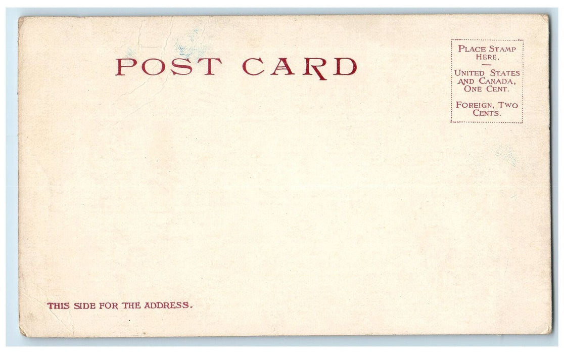 c1905's Library Congress Passion Portrait Half Nude Washington DC Postcard