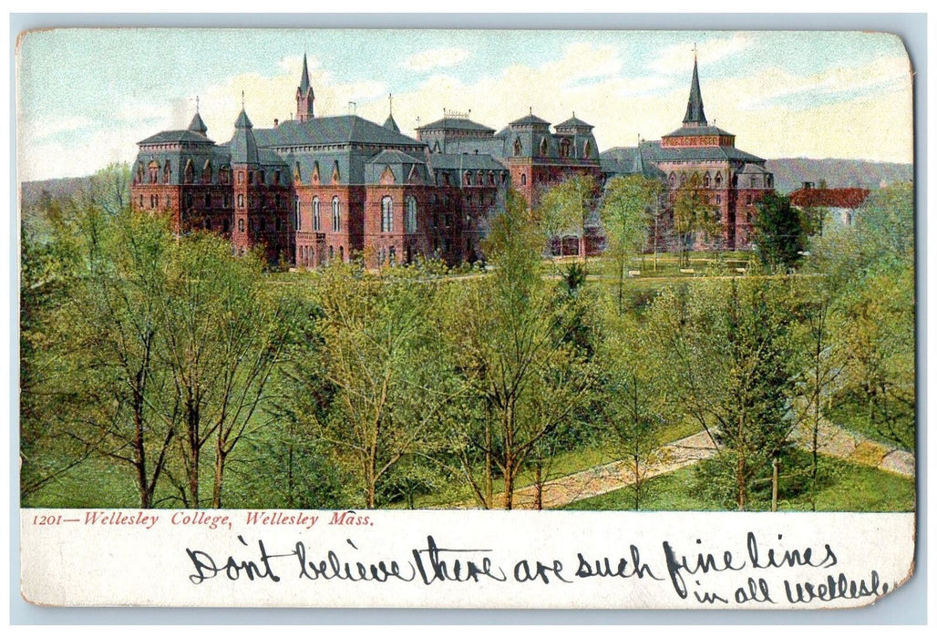 c1905's Wellesley College School View Dirt Road Trees Wellesley MA Postcard