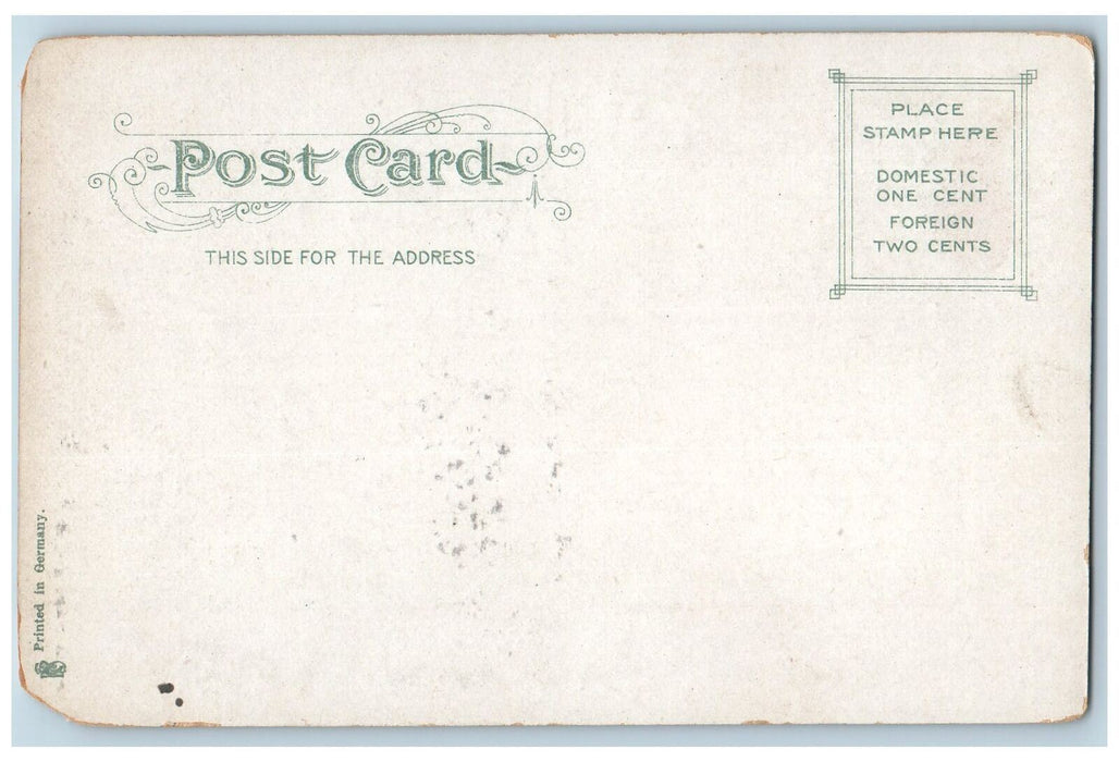 c1905's Wellesley College School View Dirt Road Trees Wellesley MA Postcard