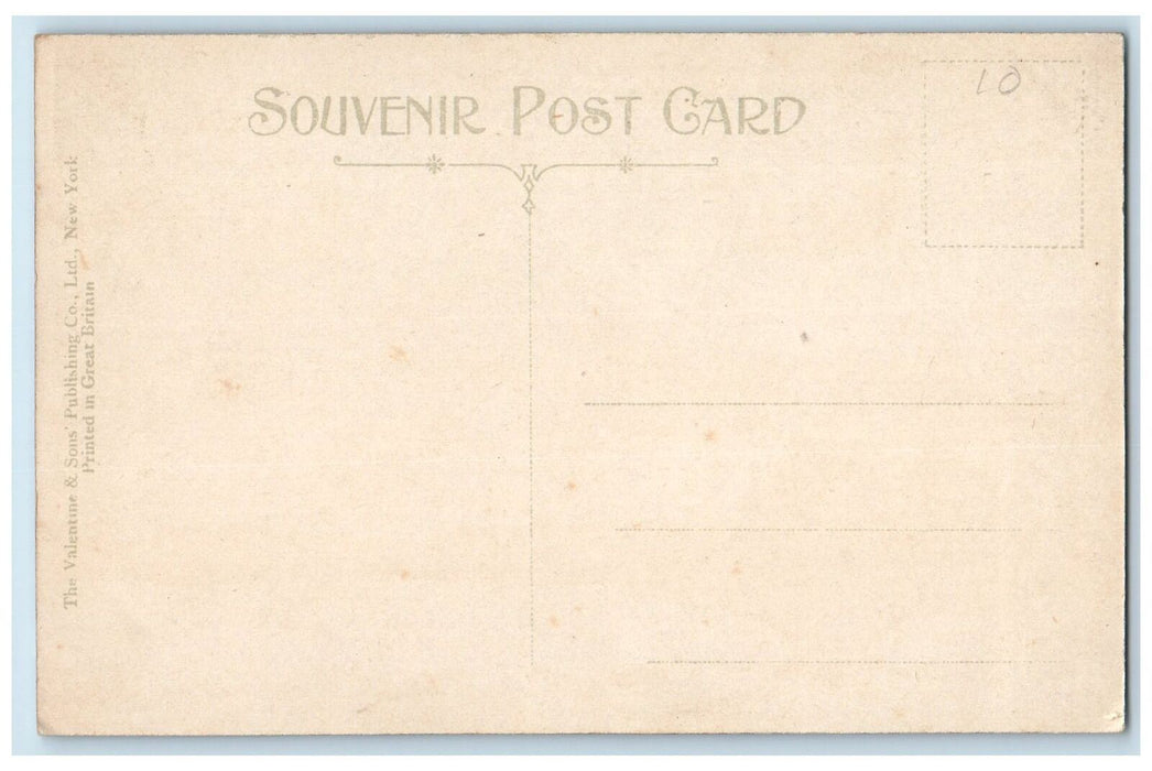 c1950's Manatee River Cow Boat Lake Sea Side Forest Lumber Florida FL Postcard
