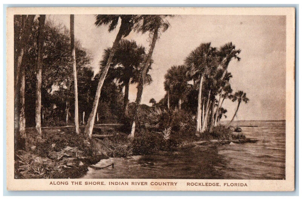 c1940 Along Shore Indian River Country Pine Tree Rockledge Florida FL Postcard