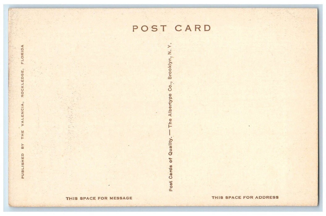c1940 Along Shore Indian River Country Pine Tree Rockledge Florida FL Postcard
