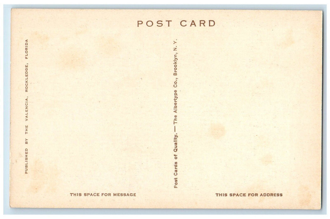 c1940 Dixie Highway Indian River Country Pine Tree Rockledge Florida FL Postcard